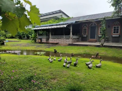Phuket Nonnita Boutique Resort & Organic Farm – Foto 11